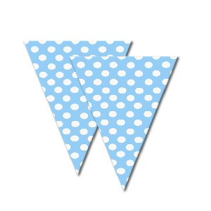Baby blue dotty spotty cello cone bags