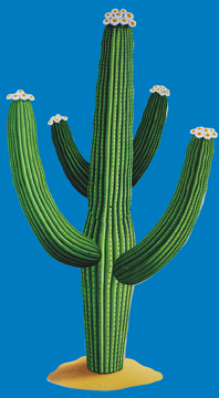 CUTOUT CACTUS
