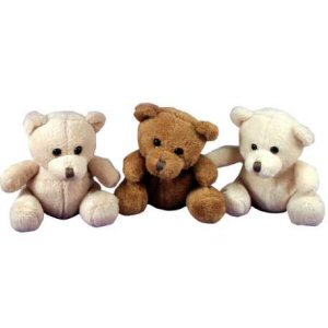 Teddy bean buddy