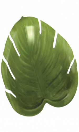 Hawaiian Tropical Jungle Platter