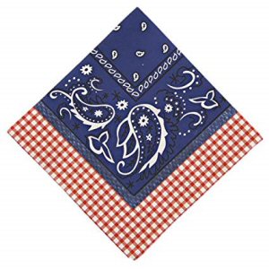 Meri Meri Howdy Cowboy 5-Inch Small Napkins