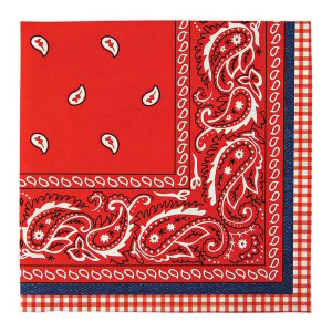 Western and Cowboy Party Supplies