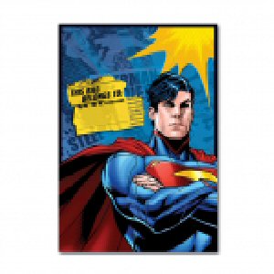 Superman Party Loot Bags