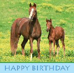 Horses and Pony Party Supplies