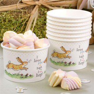 Guess How Much I Love You Party Ice cream Tubs