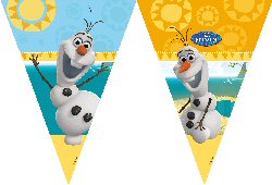 Olaf Summer Party Plastic Flag Bunting