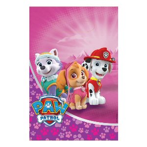 Paw Patrol Pink Party Loot Bags