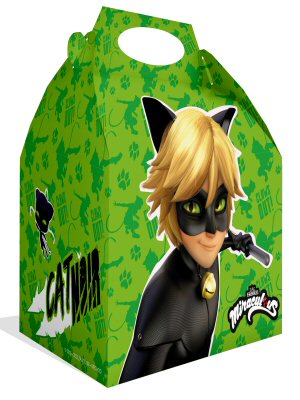Cat Noir Party Supplies