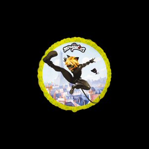 Cat Noir Round balloon Cat Noir Round balloon