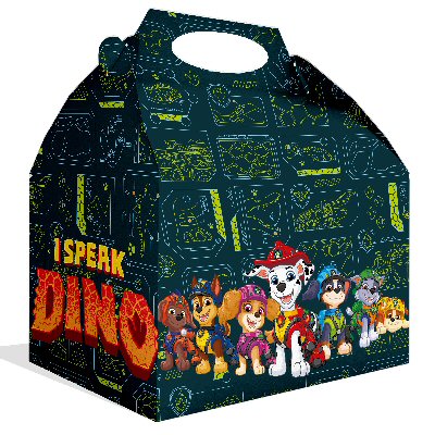 I Speak Dino card party lunch boxes
