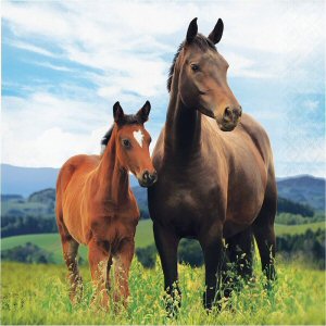 Horse And Pony Napkins