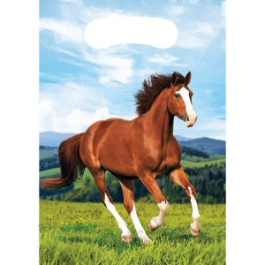 Horse and Pony Party loot Bags