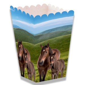 Horse And Pony High Box