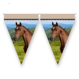 Horse And Pony pennant banner bunting