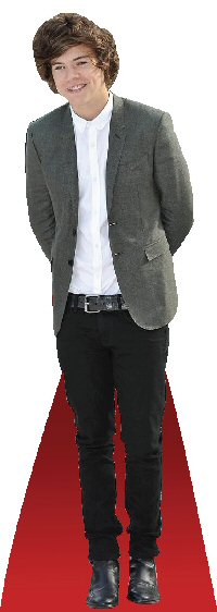 One Direction Desk Stand Up Figure Harry