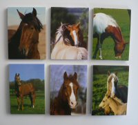 Horse notepads