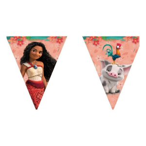 Moana Paper flag bunting