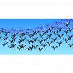 Hanging Bat Ceiling Decoration
