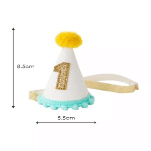 1st Birthday Party Hat
