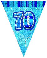Glitz Blue Party Flag Bunting