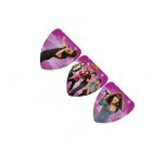 Camp Rock Party Flag Banner