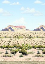 Disney Cars Scene Setter Desert Room Roll Disney Cars Scene Setter Desert Room Roll