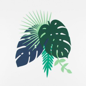 Tropical Decorative leaves