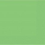 Lime Green Paper Party Napkins