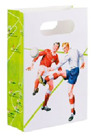 Ladybird Vintage Football Party Loot Bags