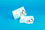 Pingu Party Invitation Cards