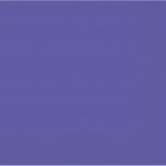 Plastic Purple Tablecover