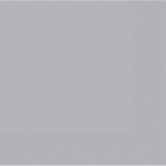 Silver Napkin