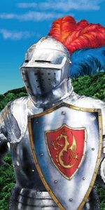 Valiant Knight party cello bags